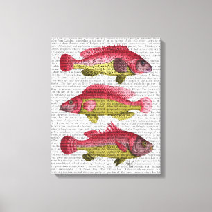 Red and Yellow Fantasy Fish Trio Canvas Print