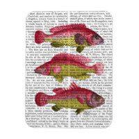Red and Yellow Fantasy Fish Trio