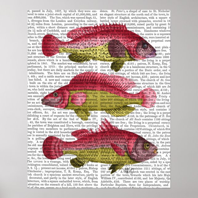 Red and Yellow Fantasy Fish Trio Poster (Front)