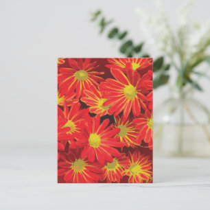 Red and Yellow Flowers 1 Holiday Postcard