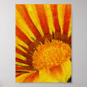 Red and Yellow Gazania Acrylic Painting Poster