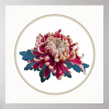 red and yellow Japanese chrysanthemum white circle