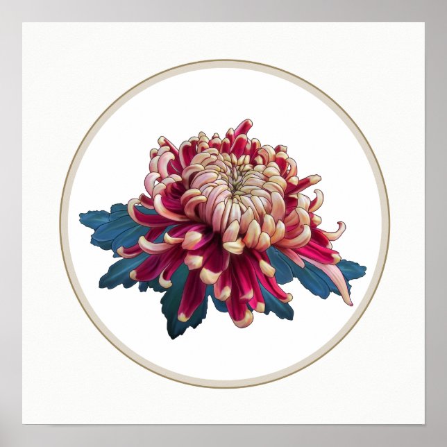 red and yellow Japanese chrysanthemum white circle Poster (Front)