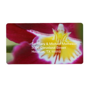 Red and Yellow Orchid