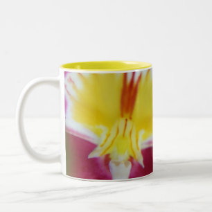 Red and Yellow Orchid Two-Tone Coffee Mug