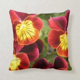 Red and Yellow Pansies (Viola) Cushion
