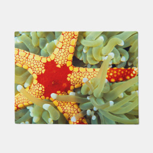 Red And Yellow Sea Star Doormat