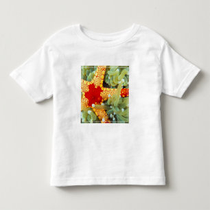 Red And Yellow Sea Star Toddler T-Shirt