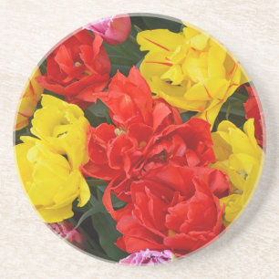 Red and yellow spring tulips coaster