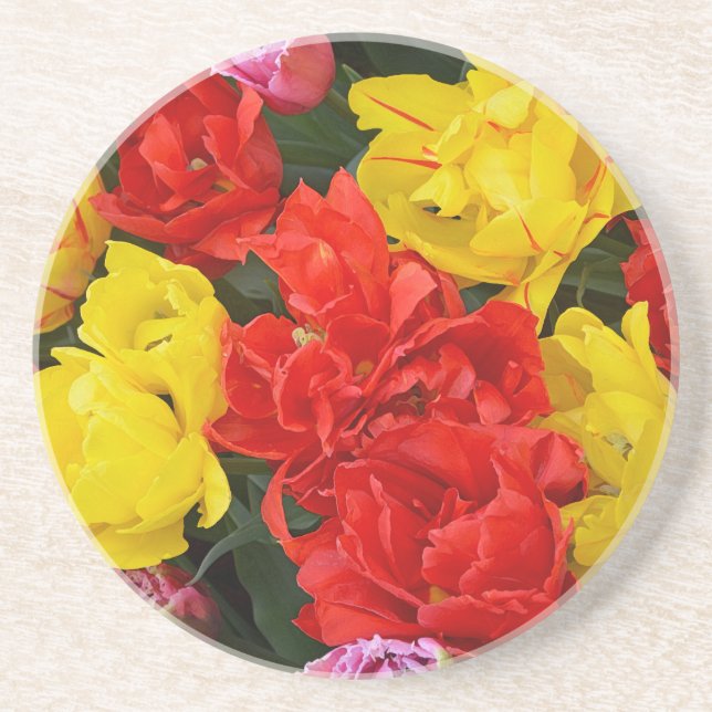 Red and yellow spring tulips coaster (Front)