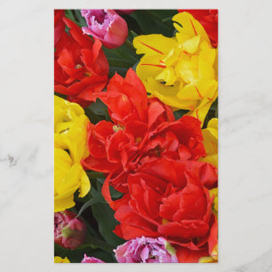 Red and yellow spring tulips stationery