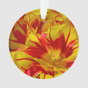 Red and yellow striped tulips christmas ornament