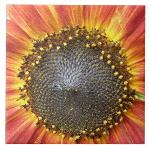 Red and Yellow Sunflower Tile