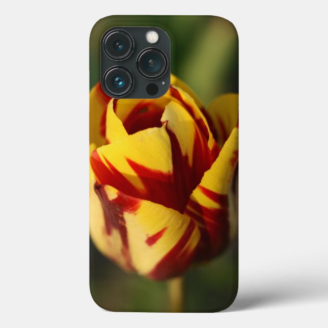 Red and Yellow Tulip Flower Case-Mate iPhone Case (Back)
