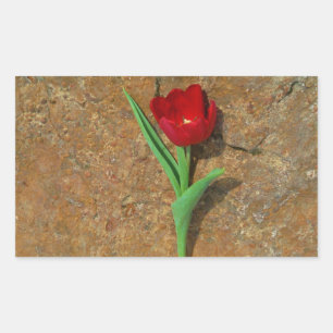 Red and Yellow Tulip Rectangular Sticker