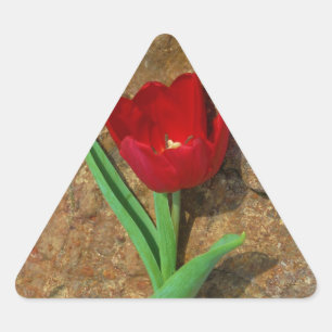 Red and Yellow Tulip Triangle Sticker