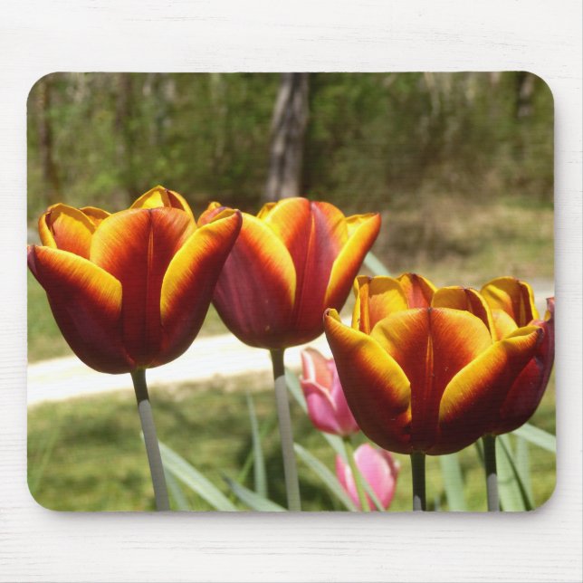 Red and Yellow Tulips Mouse Mat (Front)