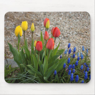 Red And Yellow Tulips Mouse Pad