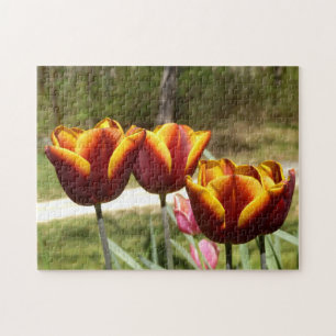 Red and Yellow Tulips Photo Puzzle
