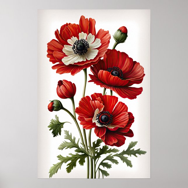 Red Anemone Flowers Art Print Poster (Front)