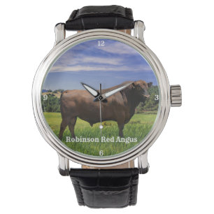 Red Angus Bull Watch