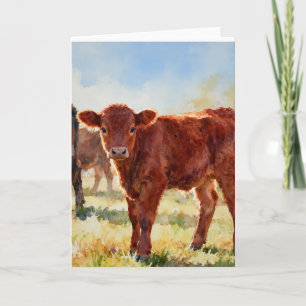 Red Angus Calf Study A In Watercolors Card