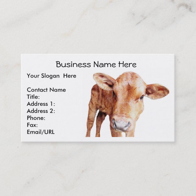 Red Angus Cow Business Card Template (Front)