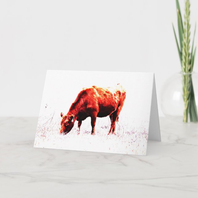 Red Angus Farm Artsy Cow Note Card (Front)