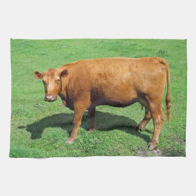 Red Angus Tea Towel (Horizontal)