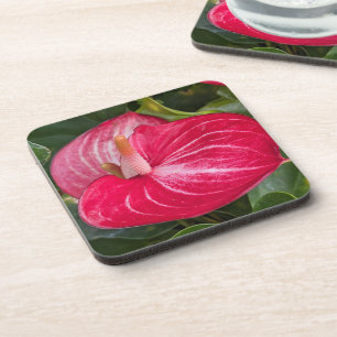 Red Anthurium Bloom Floral Coaster