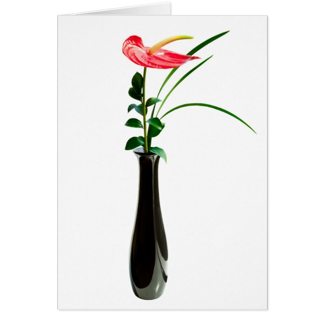 Red Anthurium flower in a vase (Front)