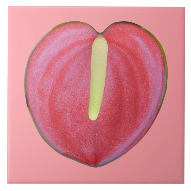 Red Anthurium Flower on Ceramic Tile (Front)
