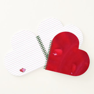 Red Anthurium Heart Notebook Photo with Raindrop