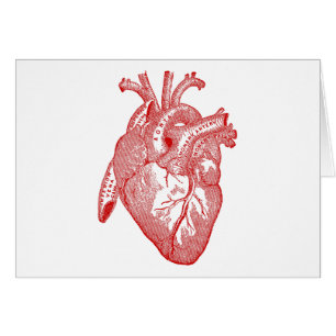 Red Antique Anatomical Heart
