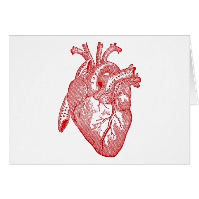 Red Antique Anatomical Heart (Front Horizontal)