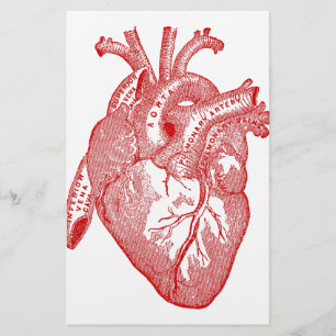 Red Antique Anatomical Heart