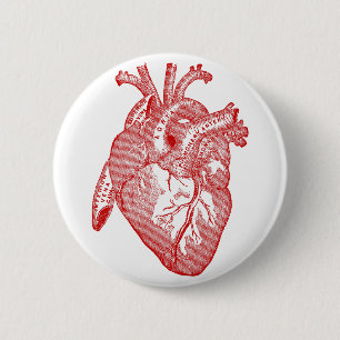 Red Antique Anatomical Heart 6 Cm Round Badge