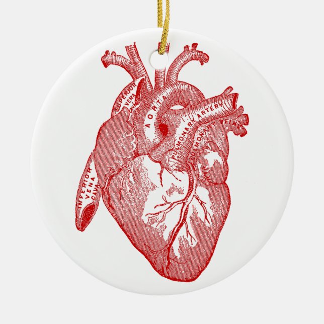 Red Antique Anatomical Heart Ceramic Ornament (Front)