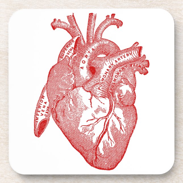 Red Antique Anatomical Heart Coaster (Front)