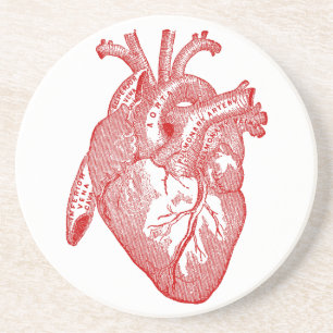 Red Antique Anatomical Heart Coaster