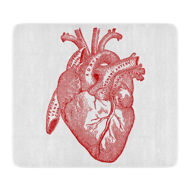 Red Antique Anatomical Heart Cutting Board (Front)