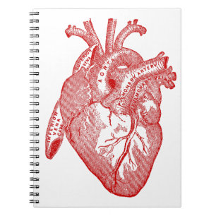 Red Antique Anatomical Heart Notebook