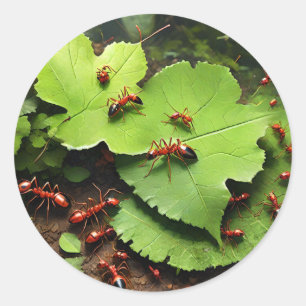 Red ants classic round sticker