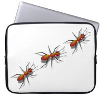 Red Ants Crawling On Your