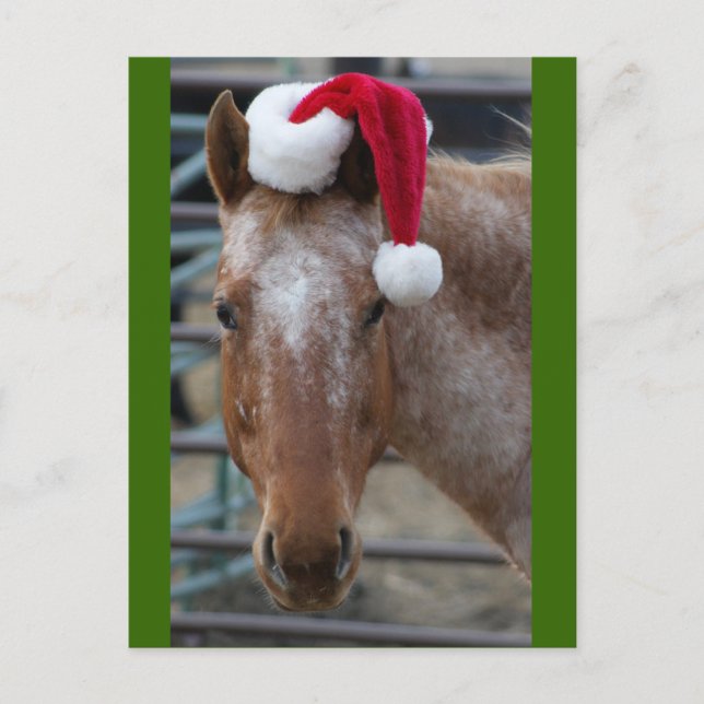 Red Appaloosa with Santa Hat Holiday Postcard (Front)