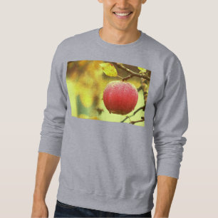 "Red Apple on Tree" Cute Photo. Buy Now Sweatshirt