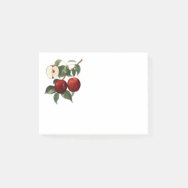 Red Apples Botanical Teacher Name 4x3 Post-it Notes (Front)