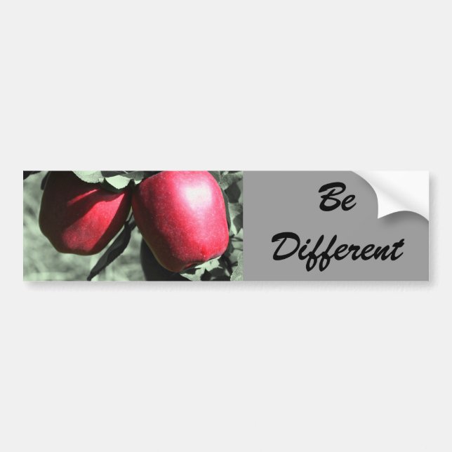 Red Apples Different Motivational Bumper Sticker (Front)