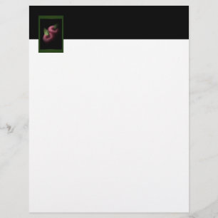 Red Apples Letterhead