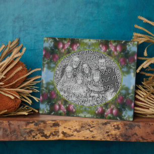 Red Apples On Tree Add Your Photo Plaque